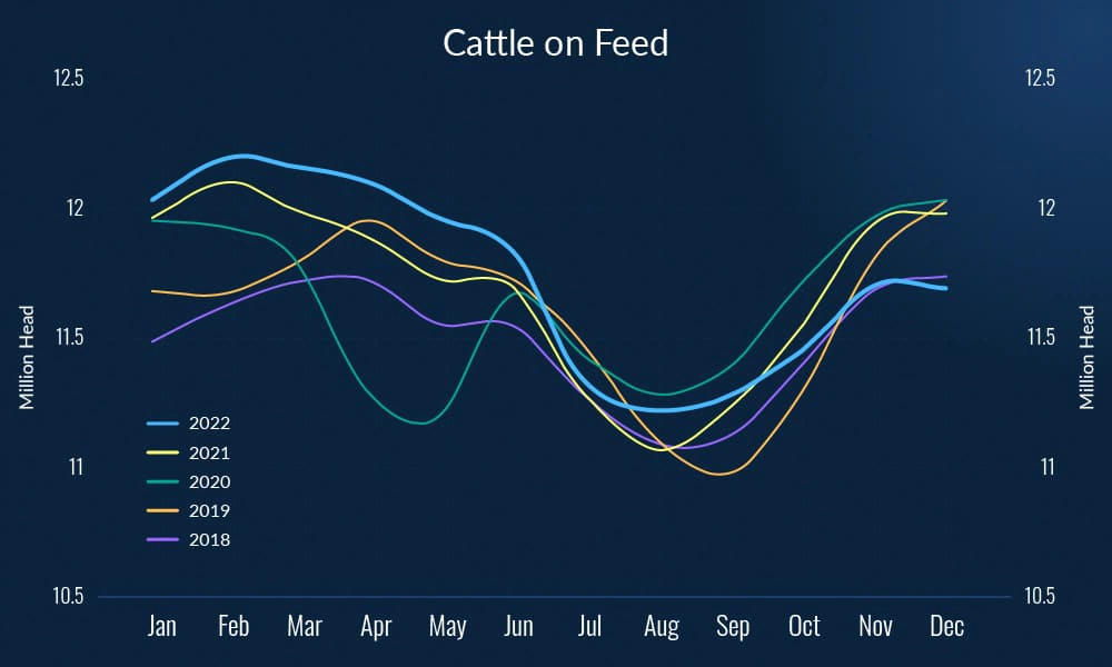 Figure-4.-Cattle-on-Feed