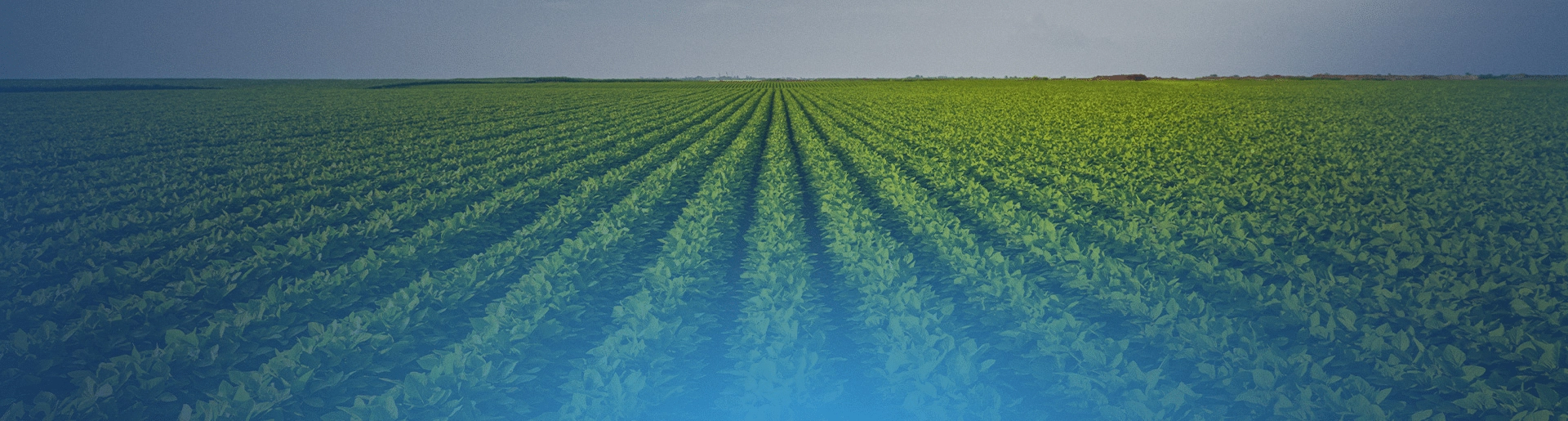 article_header_Time-Series_230411 1