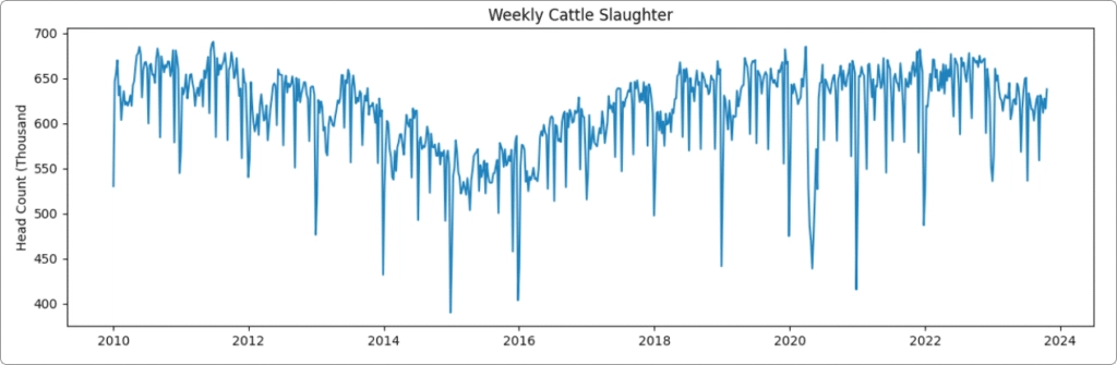 fig-01_weekly-cow-slaughter-1024x335