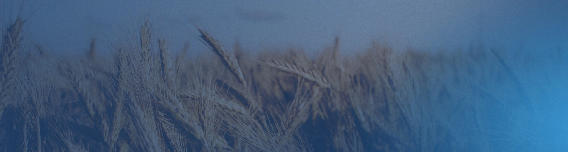 blog_header_d-boussios_intvw