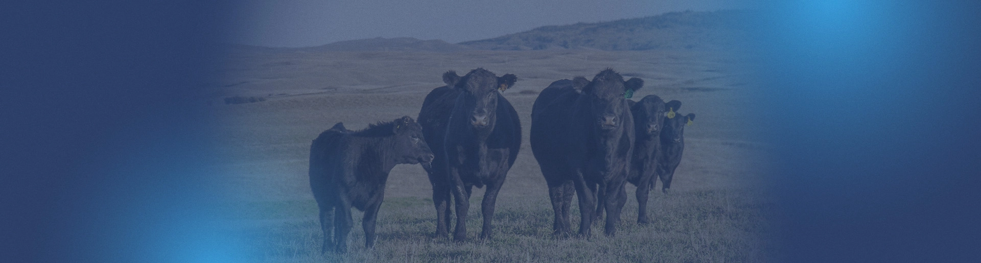 blog_header_summer-turbulence_1920x1080