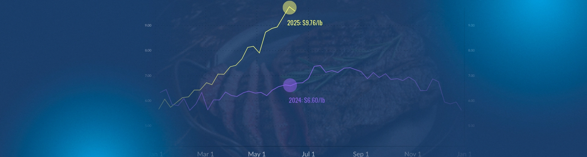 header image for top butt article