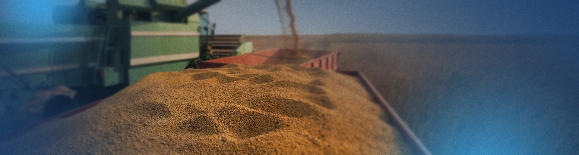 Image of soy bean harvest