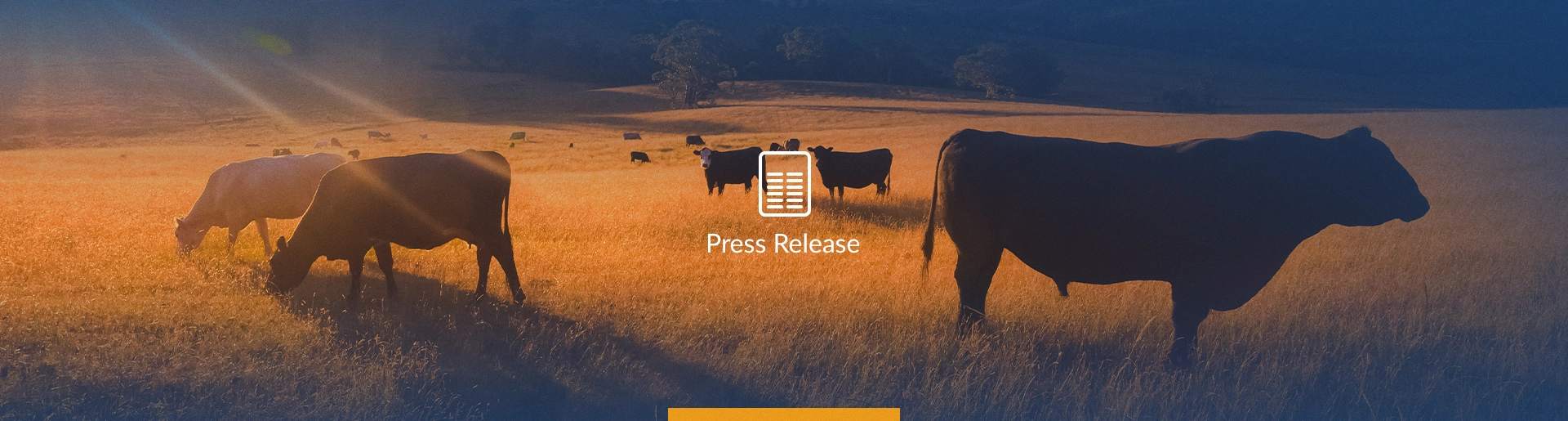 article-header_PR-mla_1920x515